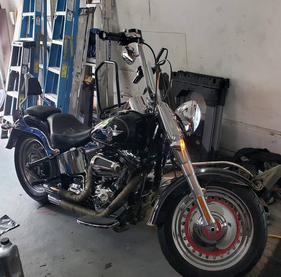 Meet your Posher, Jerrid - Picture 1 of 1